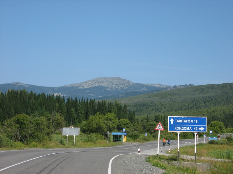 Шершавель таштагол фото